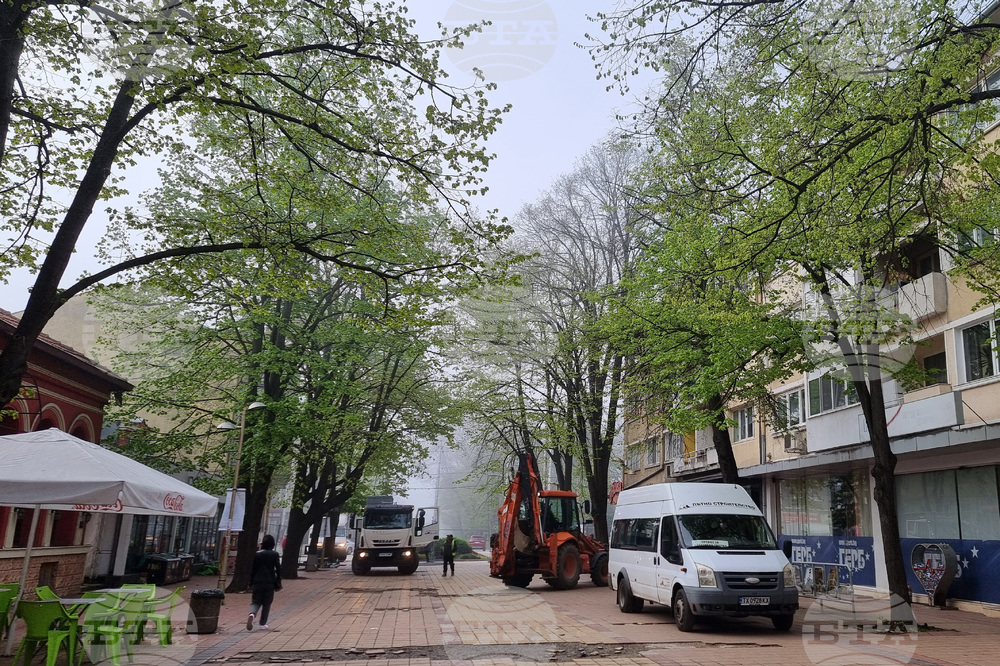 Добрич - протест - изсичане на дървет