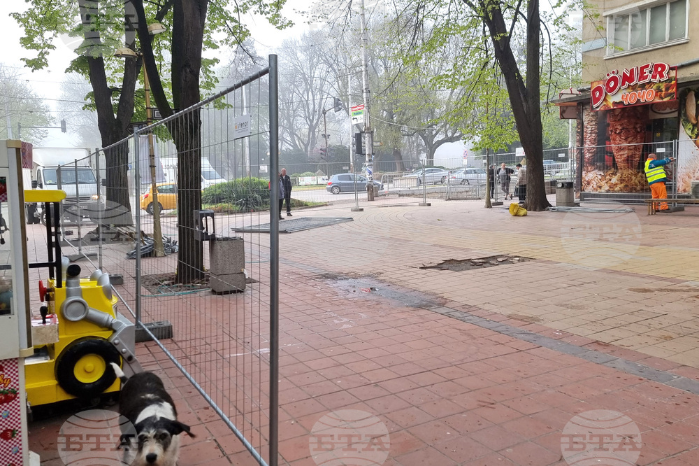 Добрич - протест - изсичане на дървета