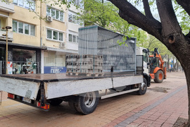 Добрич - протест - изсичане на дървета