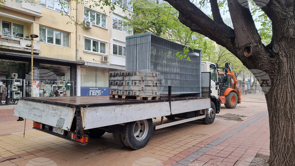 Добрич - протест - изсичане на дървета