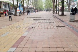 Добрич - протест - изсичане на дървета