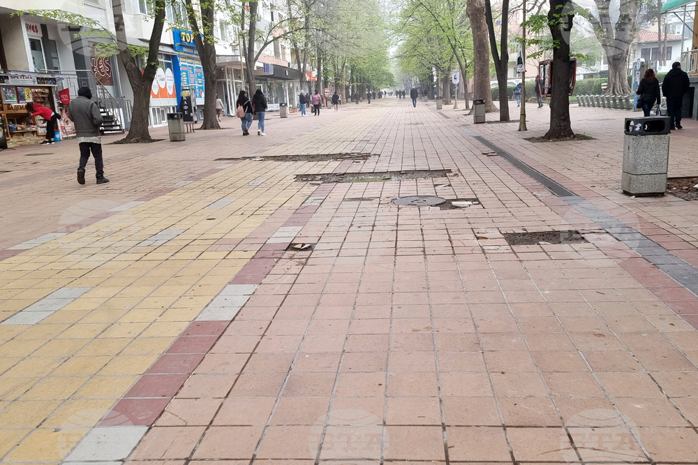 Добрич - протест - изсичане на дървета