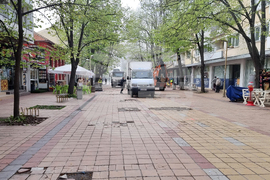 Добрич - протест - изсичане на дървета