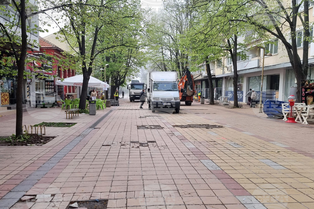Добрич - протест - изсичане на дървета