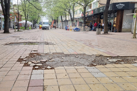 Добрич - протест - изсичане на дървета