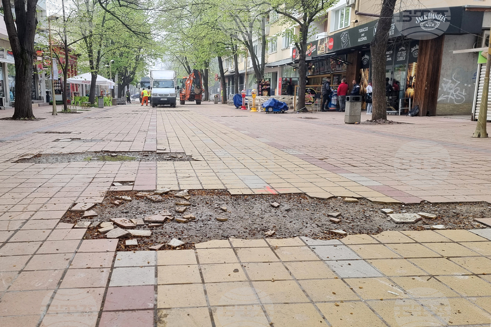 Добрич - протест - изсичане на дървета