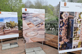 Добрич - протест - изсичане на дървет