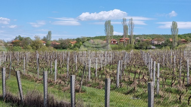 Ученици от българския център „Медиа“ в Криничне, Украйна, посетиха винарна в навечерието на Трифон Зарезан