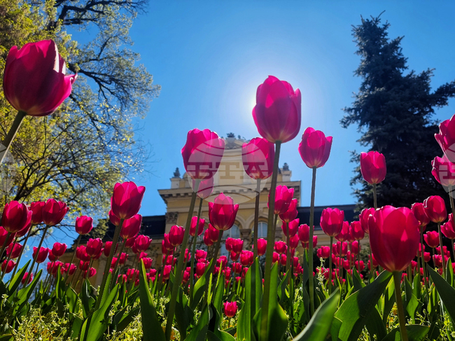 Прогноза за времето 