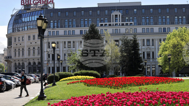 Процедура по намаляване капитала на ББР изисква одобрение от всички нейни кредитори и ще отнеме месеци, заявяват от банката в своя позиция 