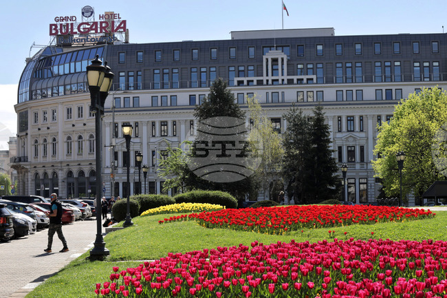 Процедура по намаляване капитала на ББР изисква одобрение от всички нейни кредитори и ще отнеме месеци, заявяват от банката в своя позиция 