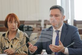 Народно събрание - законодателно проучване - сектор пчеларство и защитата на пчелите