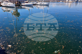 Варна - пристанище - ежедневие