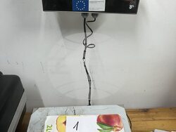 Снимка: АП София