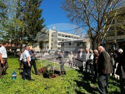 Снимка: Североизточно държавно предприятие ДП Шумен