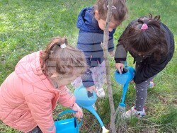 Снимка: Община Плевен