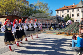 Враца - концерт