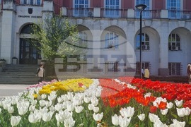 Плевен - лалета - цветни площи