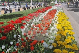 Плевен - лалета - цветни площи