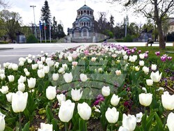 Снимка: Община Плевен