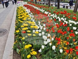 Снимка: Община Плевен