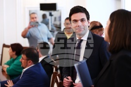 Народно събрание - Мартин Божанов - комисия
