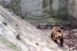 Ловеч - зоопарк