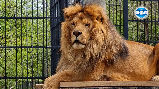 Нови животни посрещат посетителите на зоологическата градина в Ловеч