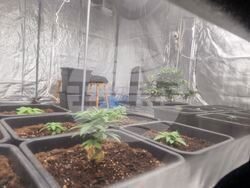 Снимка: Пресцентър МВР