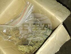 Снимка: Пресцентър МВР