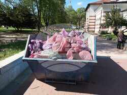 Снимка: Община Плевен 