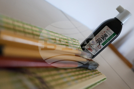 Благоевград - Югозападен университет - Празник на японските вишни