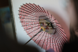 Благоевград - Югозападен университет - Празник на японските вишни