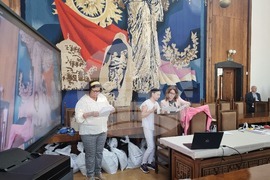 Плевен - повторно преброяване на бюлетини - общински съветници