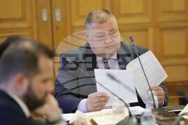 Народно събрание - Временна комисия за проверка на факти и обстоятелства за дейността на Глеб Мишин