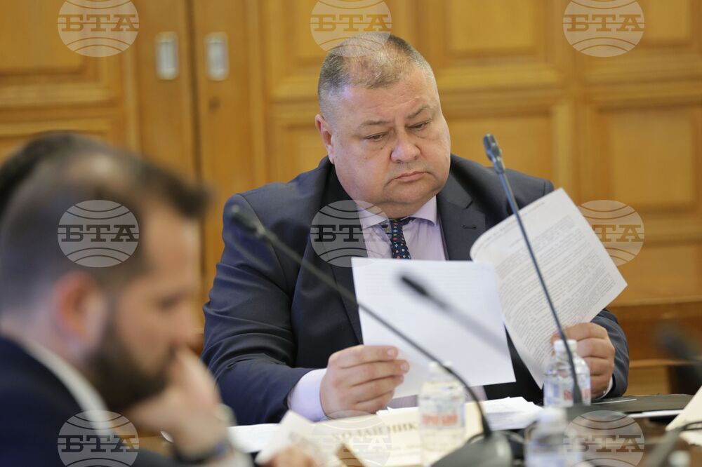 Народно събрание - Временна комисия за проверка на факти и обстоятелства за дейността на Глеб Мишин