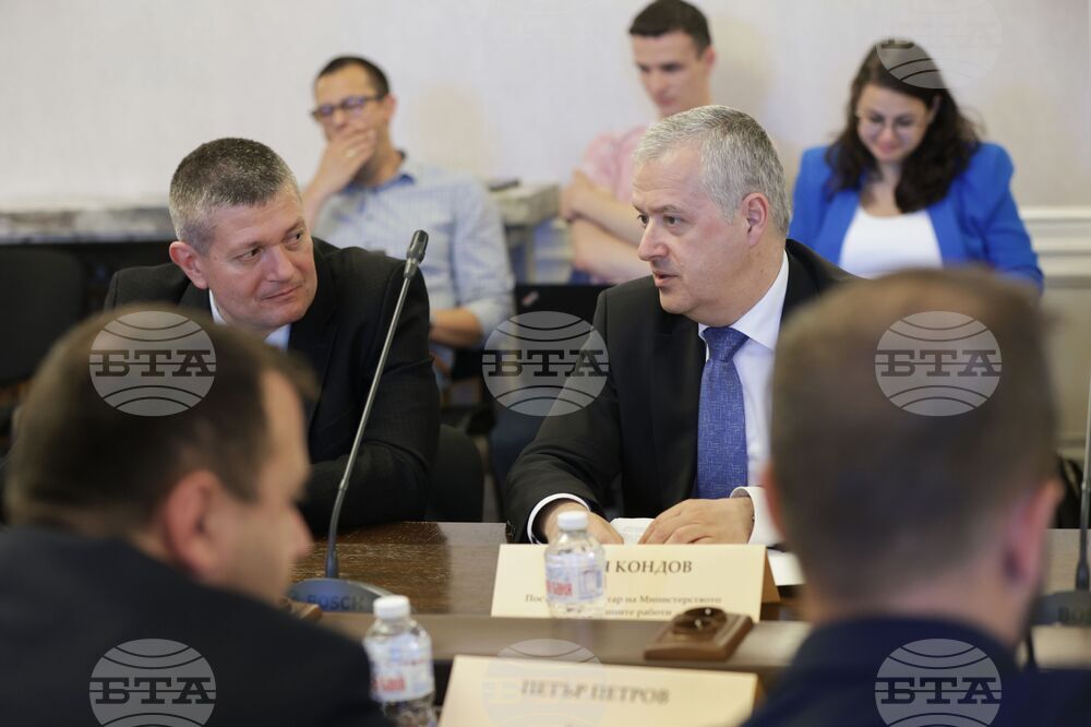 Народно събрание - Временна комисия за проверка на факти и обстоятелства за дейността на Глеб Мишин
