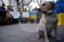 Пловдив – протест