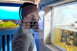 Варна - Аквариум - обитатели