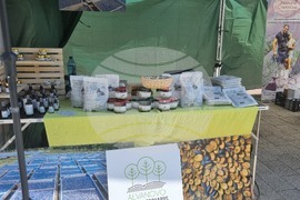 Търговище - благотворителен базар на изкуствата