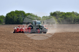 Исперих - пролетна сеитба