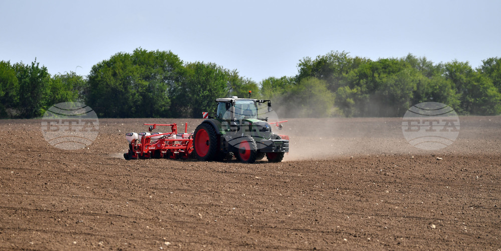Исперих - пролетна сеитба