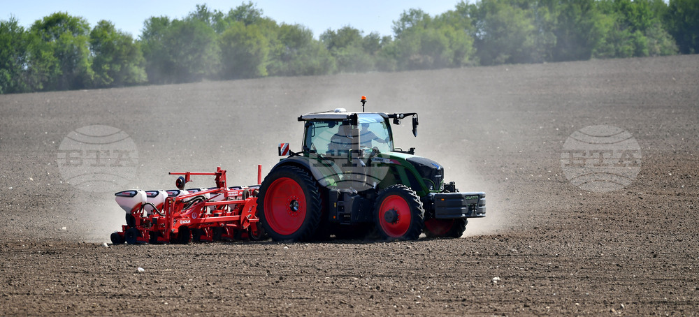 Исперих - пролетна сеитба