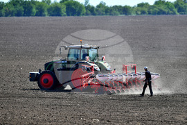 Исперих - пролетна сеитба