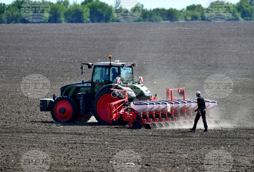Исперих - пролетна сеитба