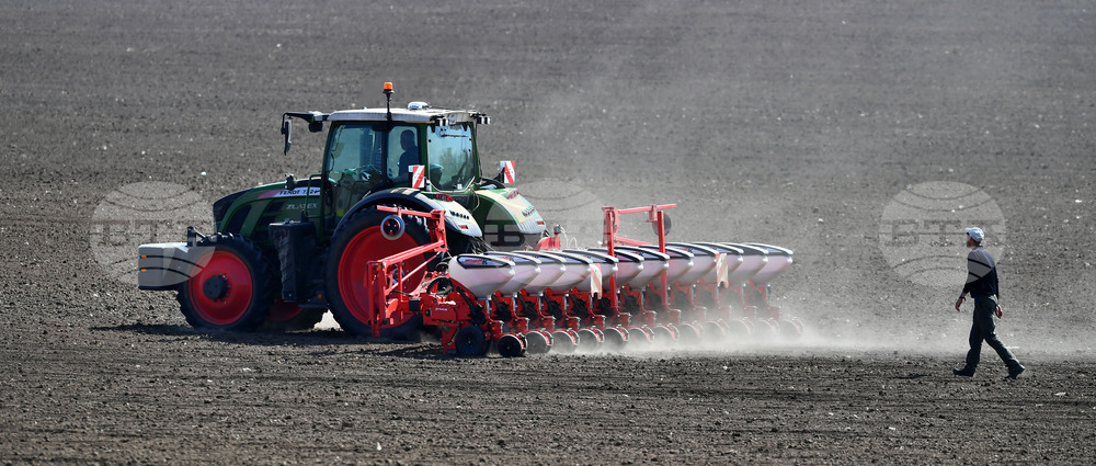 Исперих - пролетна сеитба