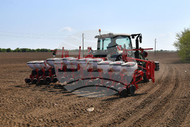 Исперих - пролетна сеитба