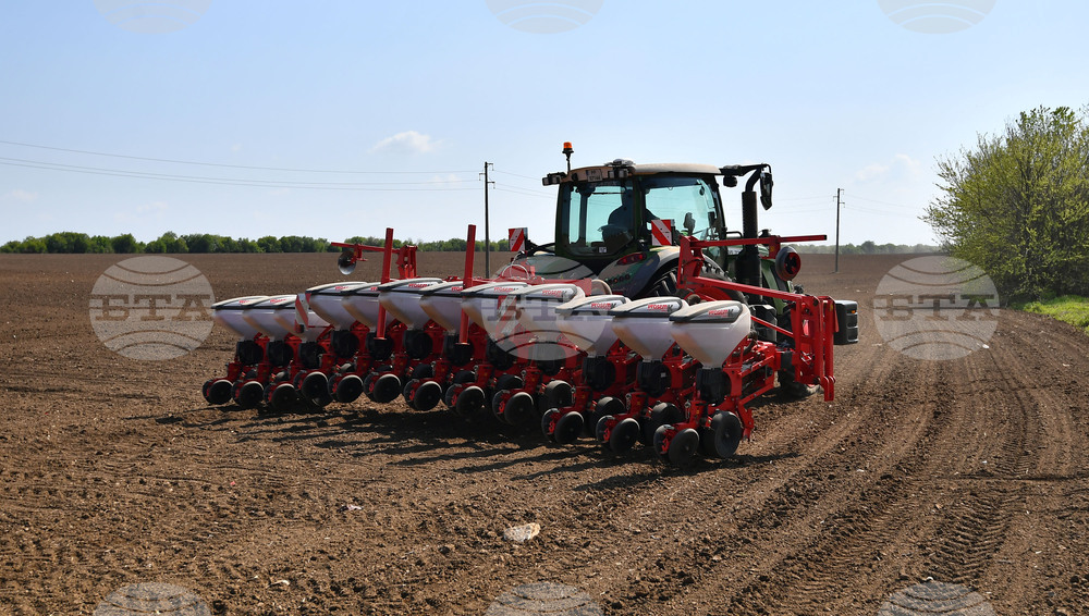 Исперих - пролетна сеитба