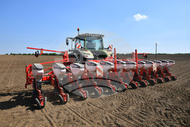 Исперих - пролетна сеитба