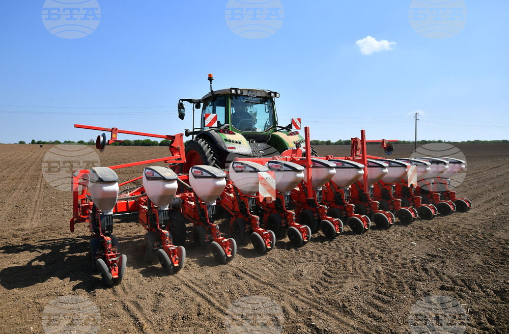 Исперих - пролетна сеитба